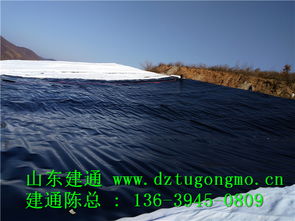 專業高效，品質信賴 探訪江西復合土工布工廠直銷與山東建通建材加工服務