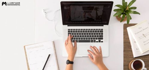 軟件外包服務的創(chuàng)新戰(zhàn)略與產品服務系統(tǒng)設計